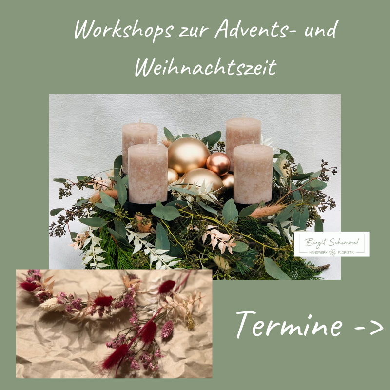 WorkshopsInsta